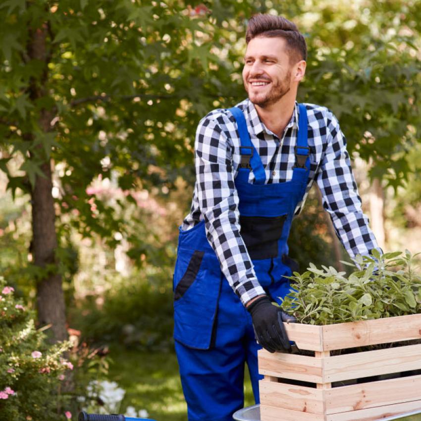 Jardinier avec une tenue bleu qui transporte des palettes de plantes avec des gants.